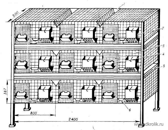 клетки для кроликов